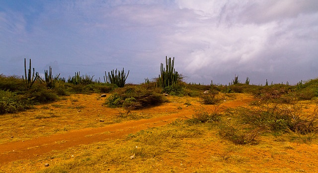 Aruba is arid